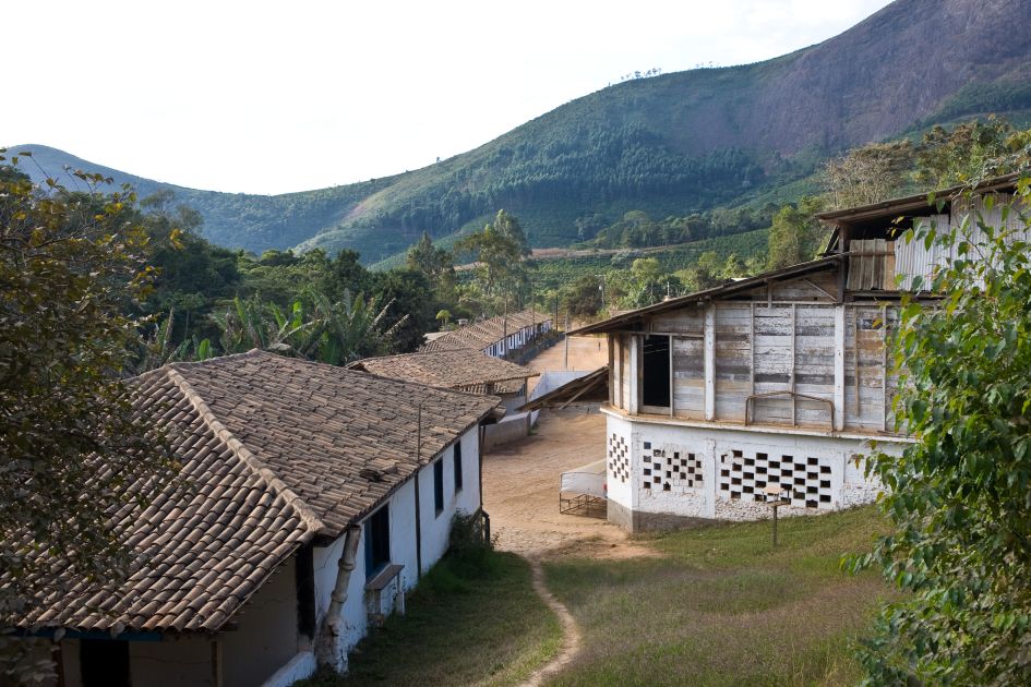 Bergabführende Straße auf der Kaffeefarm Fazendas Dutra gesäumt von kleinen Hütten.